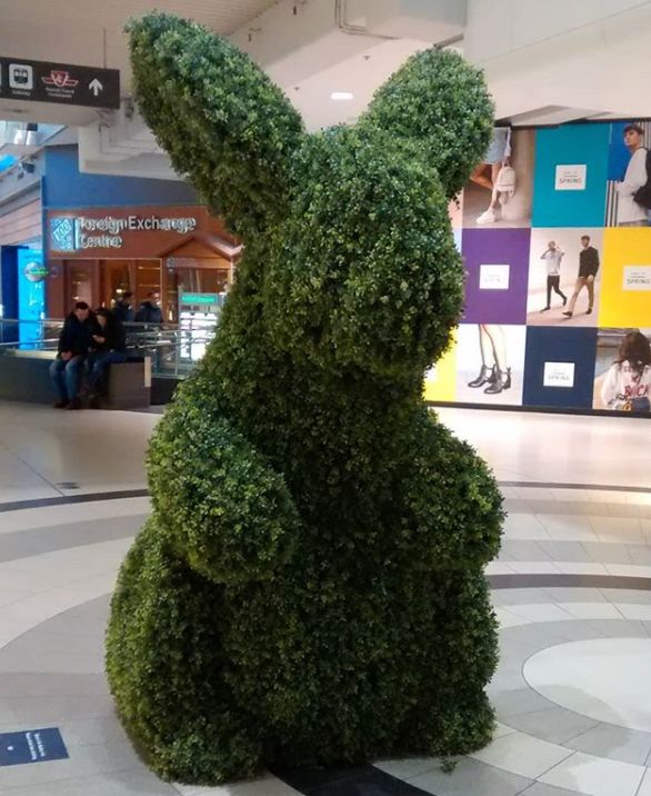 eaton center 惊现巨型绿兔子,ins网红拖家带口跑去合影!