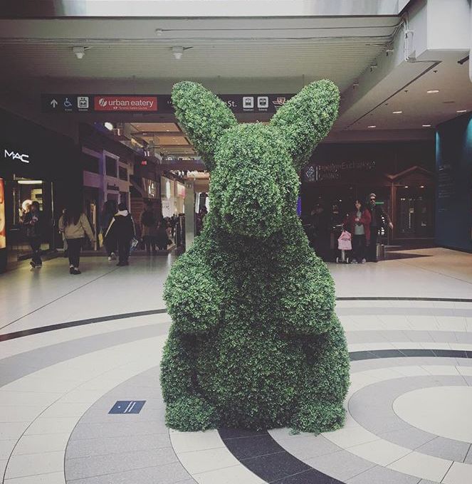 eaton center 惊现巨型绿兔子,ins网红拖家带口跑去合影!